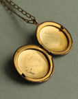 Antique Swallow Bird Locket