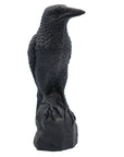 PERCHED RAVEN CANDLE | PILLAR